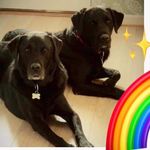 Stacy Pepper - @stacyp433 - Instagram