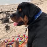 Stacey pitre - @newriversmermaid - Instagram