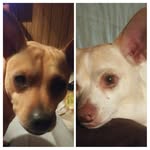 Stacy Potter - @stacypotter32953 - Instagram