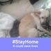 Stacy Proffer - Facebook