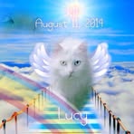 Stacy Proffer - Facebook