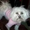 Stacey Pruitt - @stacey.pruitt - TikTok