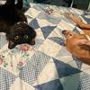 Stacey Pulliam - @stacey.pulliam - TikTok