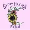 Gypsy Hayven Farm - @stacyellenquick - TikTok