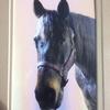 Stacy Crandle587 - @stacycrandle1679 - TikTok