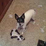 Stacy L Randleman - @stacyrandleman - Instagram