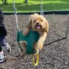 Stacy - @stacy.ray92 - TikTok