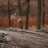 STACY - @stacy.for.no.reason - TikTok