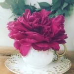 Stacy Rector - @stacy.rector - Instagram