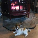 Stacy Rector Mourer - @stacymourer - Instagram