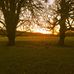 Stacy Rees Kuning - Facebook