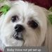 Stacy Reich - Facebook