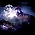 Stacy Rickard - @stacy_the_great124444 - Instagram