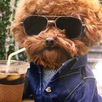 Stacy - @stacy_ringo - Instagram