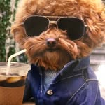 Stacy - @stacy_ringo - Instagram