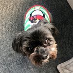Stacy Roark - @stabeeb - Instagram