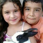 Stacy Robles - @roblesstacy - Instagram