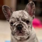stacyrose - @stacyrosenthal26 - Instagram