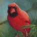 Stacy Rowan - Artist - Facebook