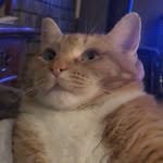 Stacey rumsey - @rumsey7876 - Instagram