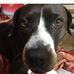 Stacey Rutter - Facebook