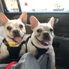 stacysalamone - @stacysalamone - TikTok