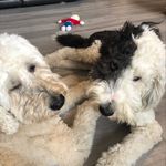 Stacy Sampson Hesters - @sshesters - Instagram