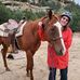 Stacy Sanborn Foreman - Facebook