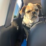 Stacey Scharf - @sscharf624 - Instagram