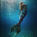 Staci W. Scharf - @7flowergirl7 - Instagram