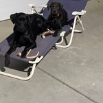 Stacey Taylor- Scheffler - @schefflerstacey - Instagram