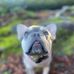 Stacy Schumann - Facebook