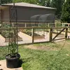 Stacey Seltzer - @growin_with_steezy - TikTok