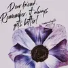 stacyshelley711 - @stacyshelley711 - TikTok