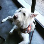 Stacy Shepard - @shepard28 - Instagram