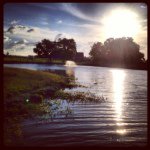 stacyshepard - @stacyshepard - Instagram