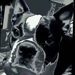 Virgil N Stacy Sheppard - @virgilnstacy - Instagram