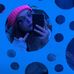 Anastasia Shields - Facebook