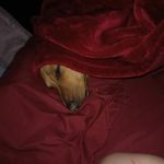 Stacy Shields - @king.ragnar.shields - Instagram