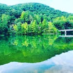 Stacy Shuler - @saucyginger.39 - Instagram