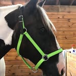 Stacy Simmons - @stacy.simmons.58173 - Instagram
