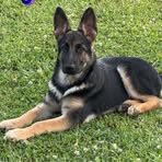 Stacy Phillips Skinner - Facebook