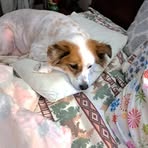 Stacy Skinner - Facebook