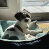 stacyskinner17 - @stacyskinner - TikTok