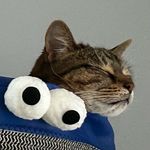 Stacy Speckmann - @stacyspeckmann - Instagram