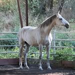 Stacy Spector - @spectorstacy - Instagram