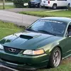 Stacy.The.Stang - @stacy.the.stang - TikTok