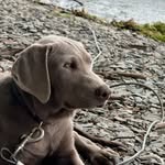 Stacy McGrath Stauffer - @stauffer.stacy - Instagram
