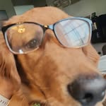 Stacy Stauffer Haag - @staufferhaag - Instagram