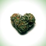 Stacy Renea - @stacystonerbluntz - Instagram
